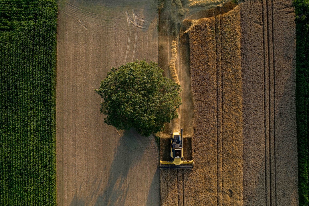 Soy Bean Planting Season