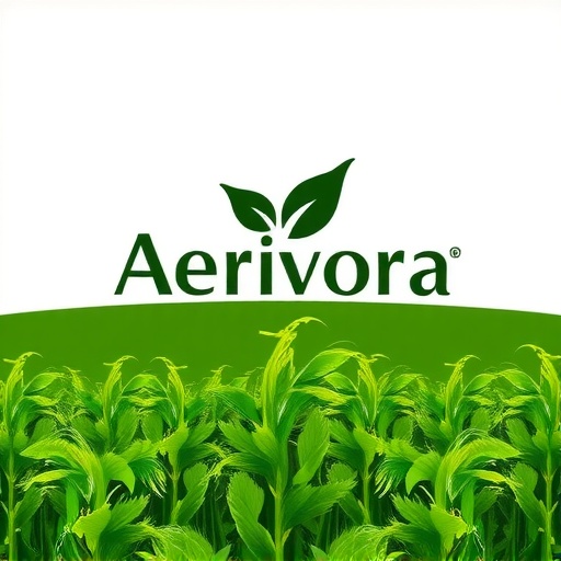 Aerivora Logo
